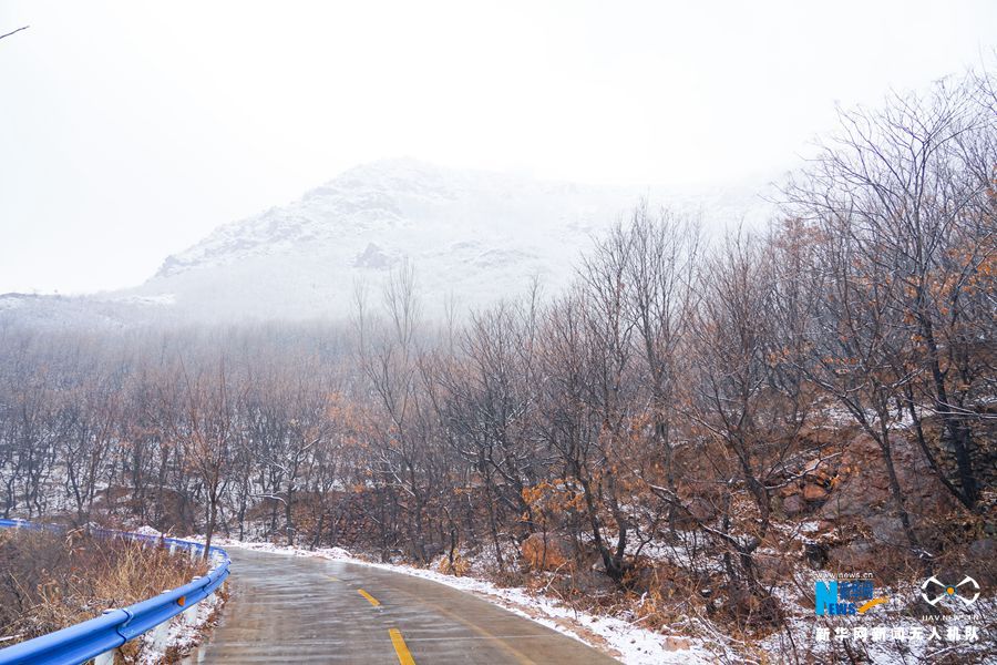 【城市远洋】【焦点图-大图】【移动端-轮播图】郑州首雪 伏羲山仿佛“白色森林”