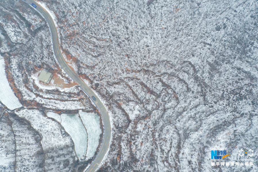 【城市远洋】【焦点图-大图】【移动端-轮播图】郑州首雪 伏羲山仿佛“白色森林”