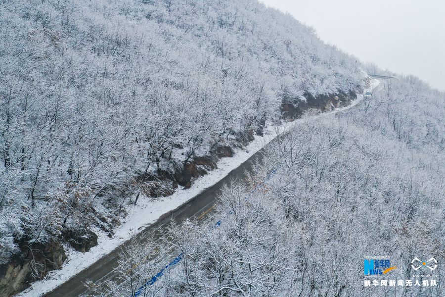 【城市远洋】【焦点图-大图】【移动端-轮播图】郑州首雪 伏羲山仿佛“白色森林”