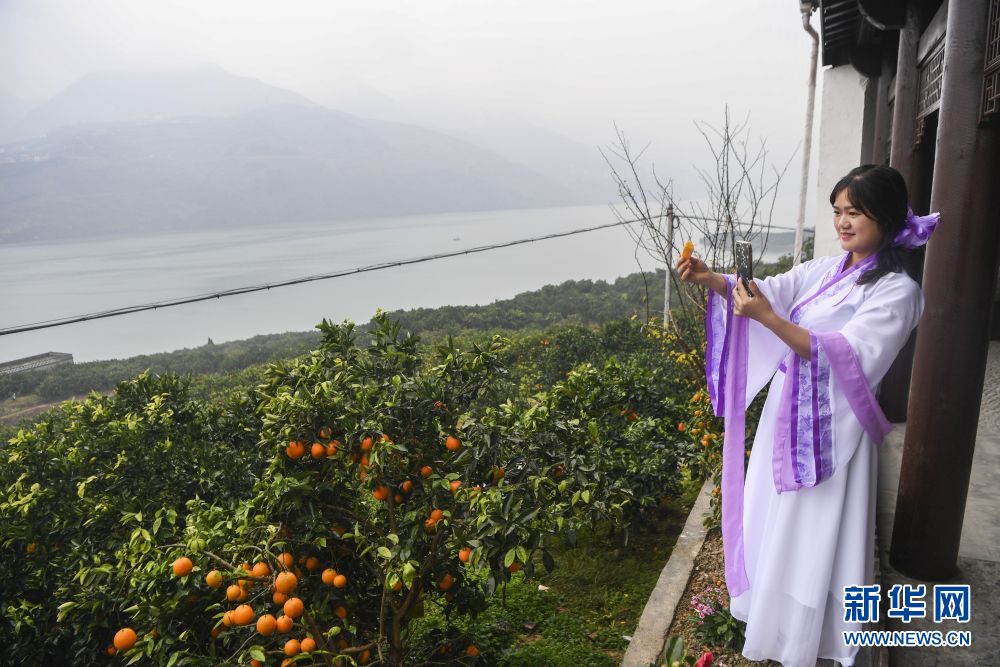 重庆：生态产业助推三峡库区高质量发展