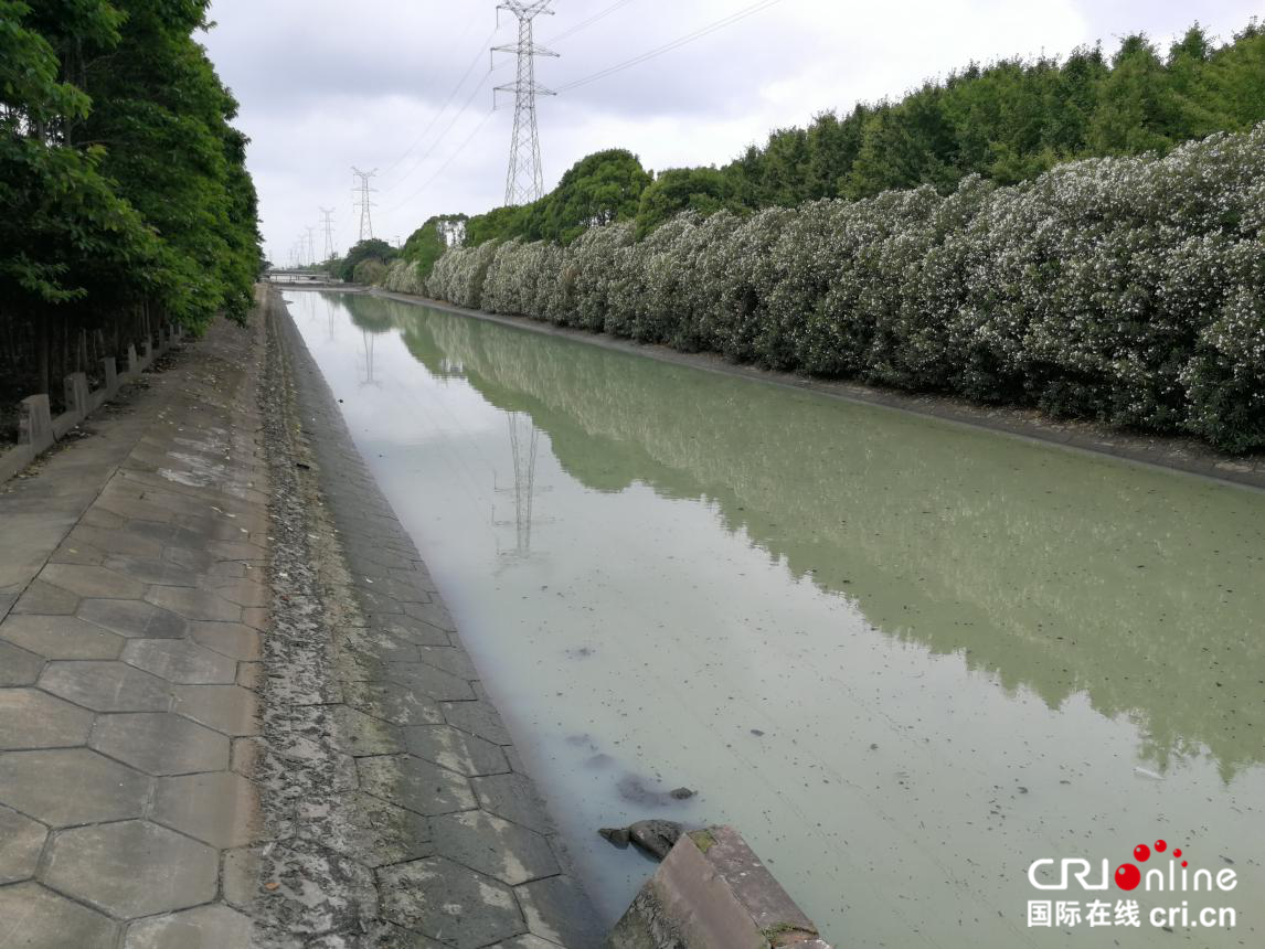 （原创 本网专稿 三吴大地南通 移动版）南通如东加大力度整治永丰河河流污染