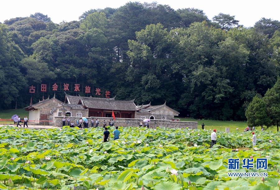 福建：古田会址荷花开