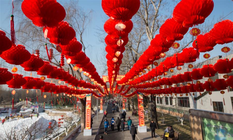 北京龙潭盛装迎春节庙会