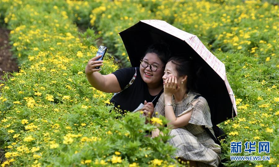 北京：山乡花海游人多