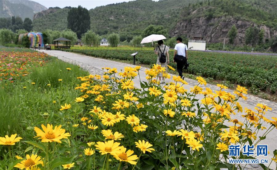 北京：山乡花海游人多