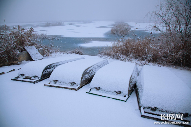 【生态文明@湿地】淡装素颜 衡水湖雪景美如水墨画