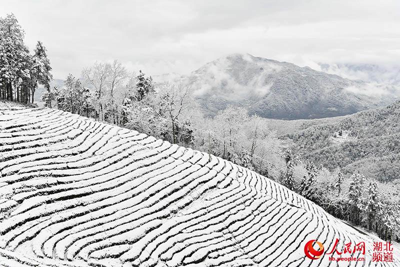 湖北保康：雪后山乡美如画