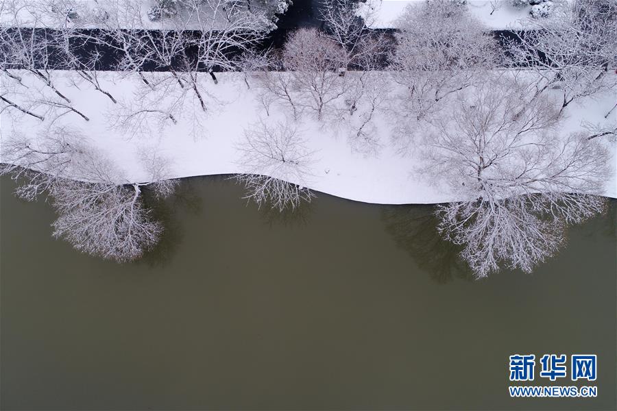 江苏多地迎鸡年首场降雪