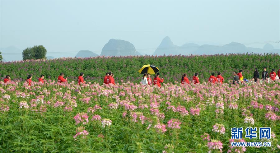 春节大数据：2017年春节期间全国共接待游客3.44亿人次