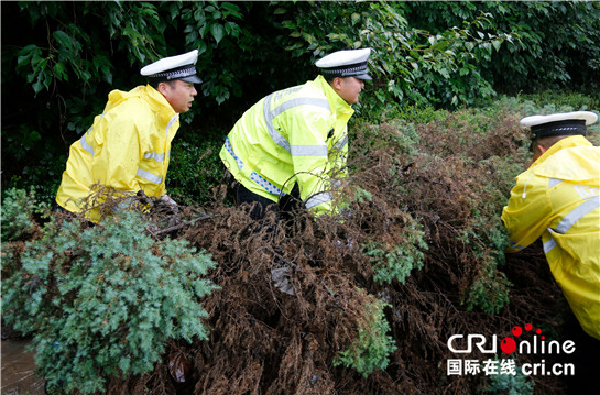 陕西渭南公安交警全力迎战强降雨 确保道路畅通