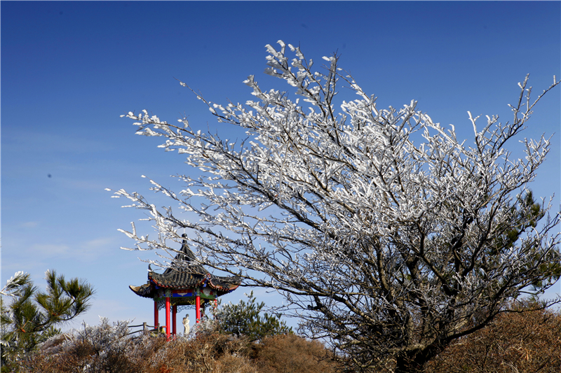 【湖北】【CRI原创】麻城龟峰山景区迎来2020年首场“冰花”奇特景观（组图）