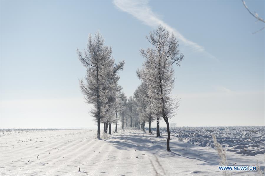 Winter scenery in Heilongjiang Province