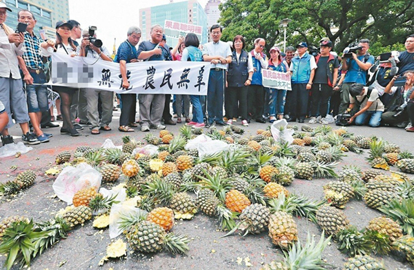 香蕉凤梨“价崩”后火龙果蠢蠢欲动 台果农无奈街头抗议