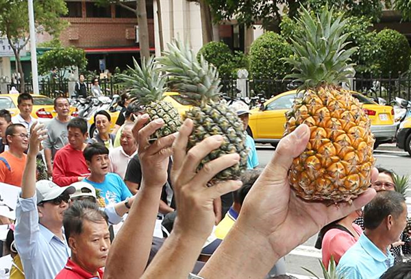 香蕉凤梨“价崩”后火龙果蠢蠢欲动 台果农无奈街头抗议