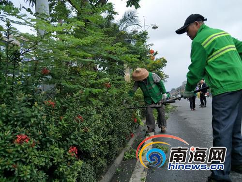 【琼岛动态图文列表】【图片文尾】新年开工第一天 琼海园林工人给绿化带“理发”