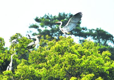 福建罗源湾:进退有方 成就一片“蓝色港湾”