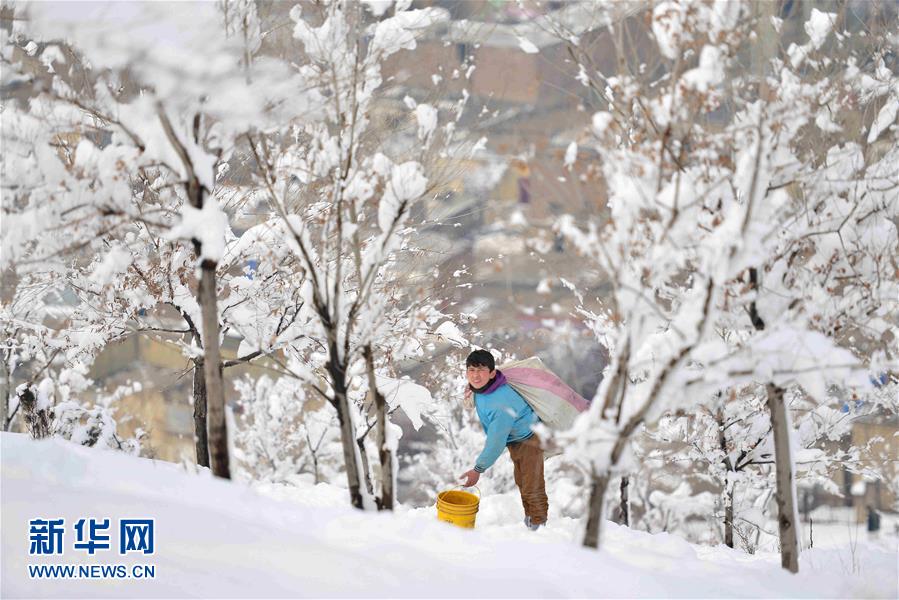 阿富汗大雪极寒天气致至少42人死亡