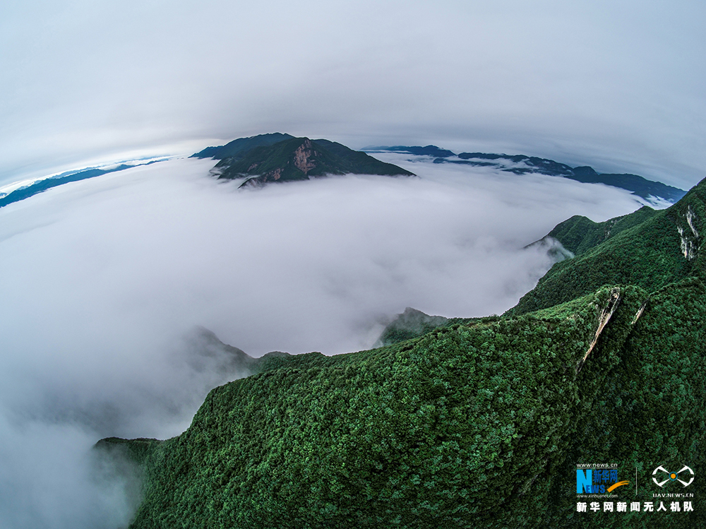 【渝情渝景】航拍瞿塘峡破晓云海