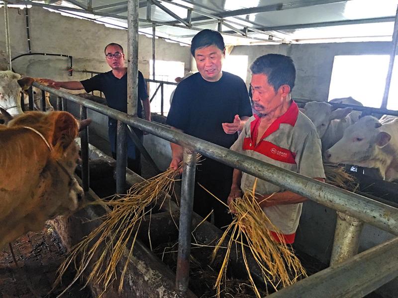 第一书记风采 脚上沾满泥土，心里装满真情 ——记洋县磨子桥镇沙溪村第一书记邢西宁