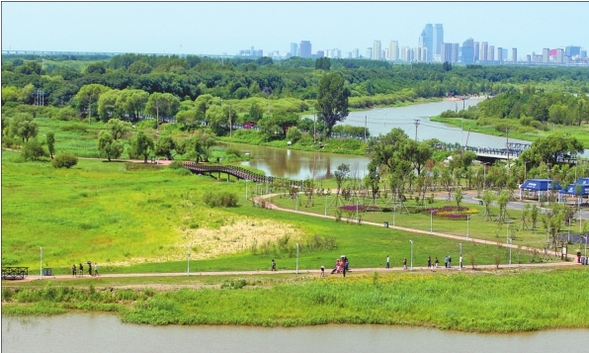 哈尔滨市江北太阳岛周边湿地