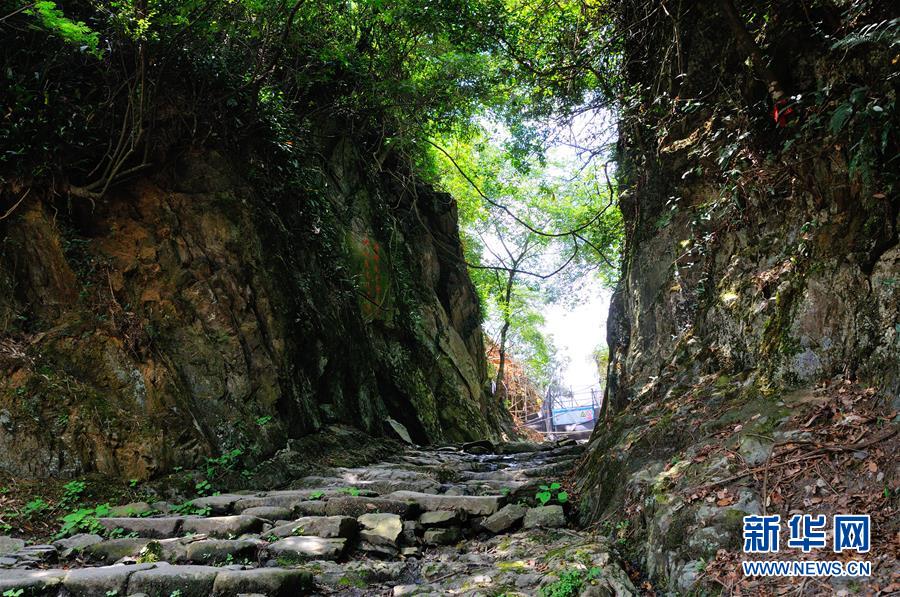 南粤古驿道，修复展新姿