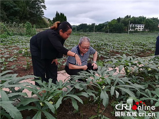 【区县联动】【大足】重庆大足区回龙镇：人大代表为特色农业发展支招【区县联动 列表】大足回龙镇：人大代表支招特色农业发展