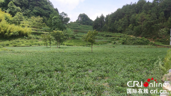 贫困户“争着”脱贫 贵州长顺“智志双扶”的“五星样板 ”