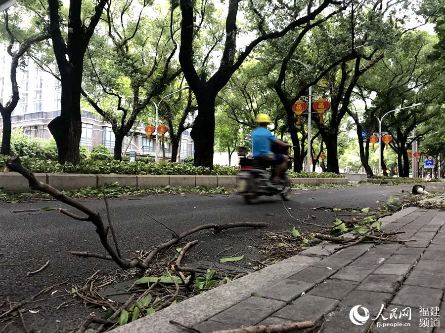 【焦点图】台风“玛莉亚”登陆在即 狂风暴雨开始袭击福建