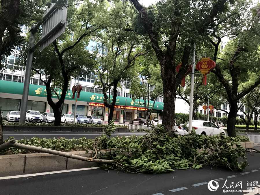 【焦点图】台风“玛莉亚”登陆在即 狂风暴雨开始袭击福建