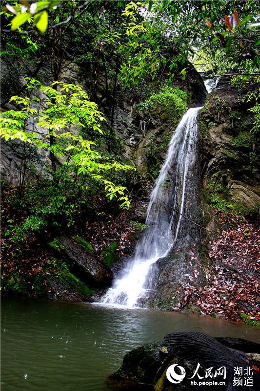 湖北竹溪：山泉流水溪中画