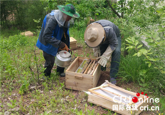 因户施策助脱贫 西安航空基地帮扶贫困户喜获蜂蜜初丰收