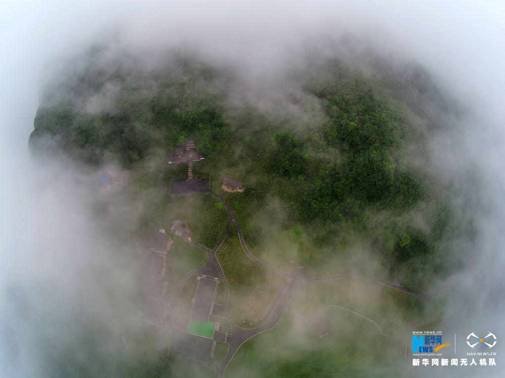 【渝情渝景】航拍夏日初晴时刻的金佛山