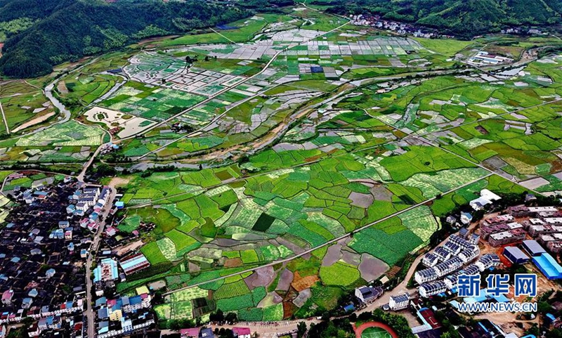 最美不及遇见你，福建之夏，这些村镇美得不像话