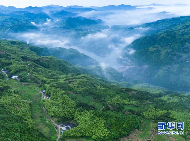 最美不及遇见你，福建之夏，这些村镇美得不像话