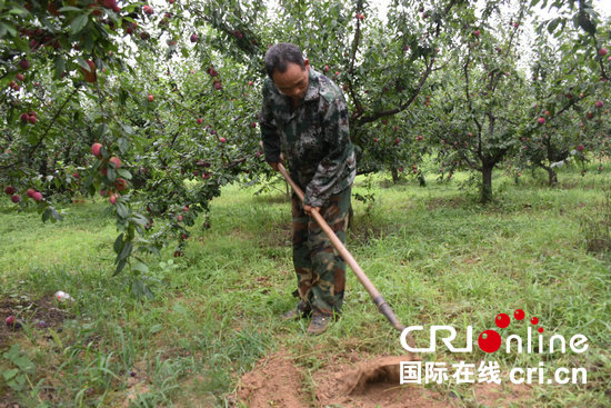 【河南在线-文字列表】【移动端-文字列表】小杂果变成脱贫果 贫困户的日子过得越来越好