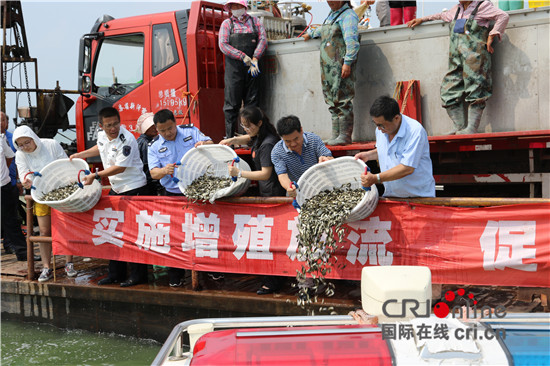 （供稿 社会广角列表 三吴大地徐州 移动版）渔民非法捕捞获刑  放流鱼苗修复徐州骆马湖生态