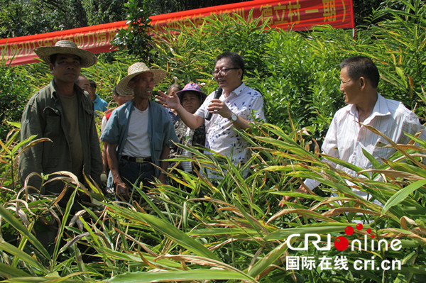 【唐已审】【供稿】崇左大新送脱贫“科技课堂”到田间