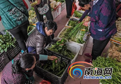 【食品农业】 菜价问题今年有变化 平价菜网点遍地开