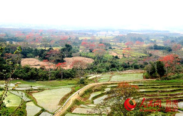 【旅游房产】昌江不断完善木棉景区基础设施 方便游客观景