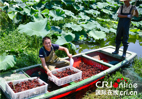 （供稿 社会广角列表 三吴大地宿迁 移动版）“史诗40年·江苏新画卷”采风活动走进宿迁