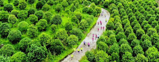 （大头条、大旅游）开启多彩贵州旅游新时代 ——我省旅游产业助脱贫促发展综述