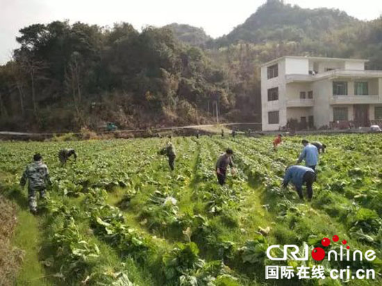 贵州荔波茂兰镇： “水陆空”立体式产业新格局助推脱贫攻坚