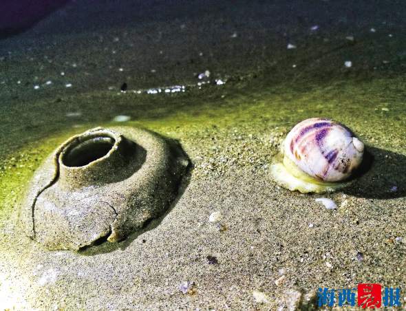 【旅游 列表】【滚动新闻】【地市 厦门】 厦门连续三日大潮 海精灵上“陆”旅游啦