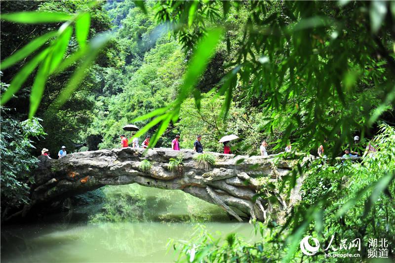 湖北宜昌：夏游“三峡大瀑布” 山水“氧吧”觅清凉