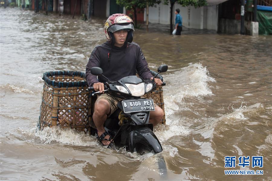 暴雨频发 雅加达内涝严重