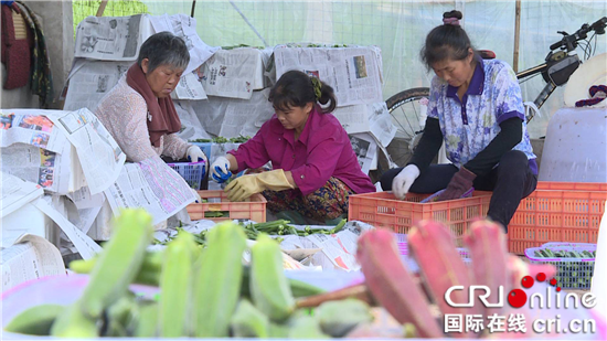 【区县联动】【大足】重庆大足回龙镇：探索产业发展新途径【内容页标题】重庆大足区回龙镇：企业主探索产业发展新途径 带领村民共同致富