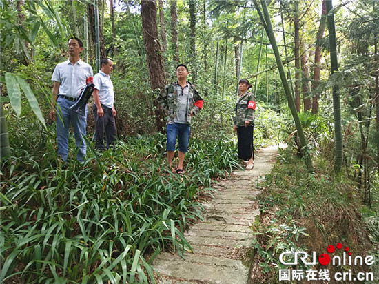 【区县联动】【万盛】重庆万盛青年镇：加大森林防火力度 守好一片绿【区县联动 列表】重庆万盛青年镇：加大森林防火力度