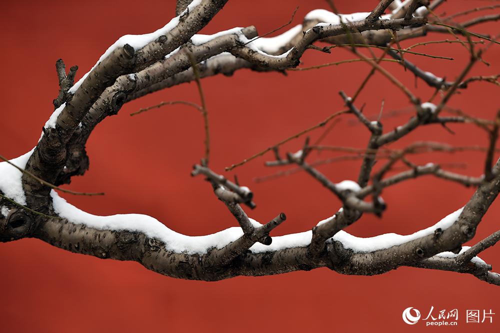 雪后故宫长这样，你是否感觉已经穿越？