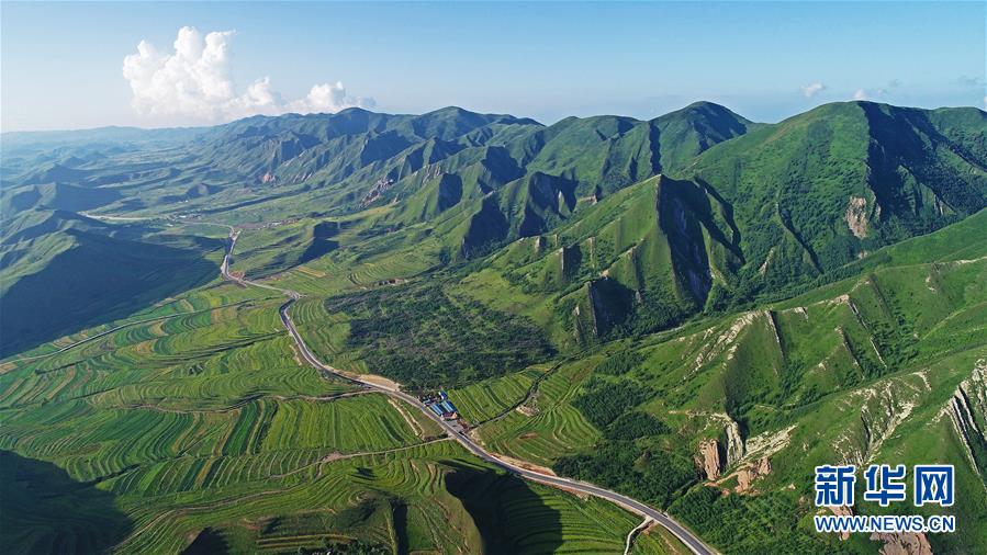 六盘山下 油菜花开扮靓美丽乡村