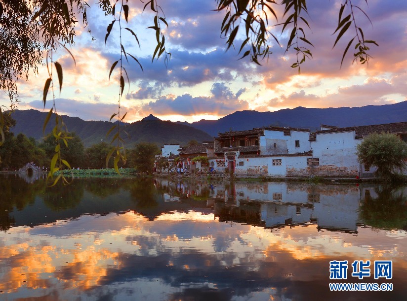 安徽：遥村红树夕阳下 丽锦天光落晚霞